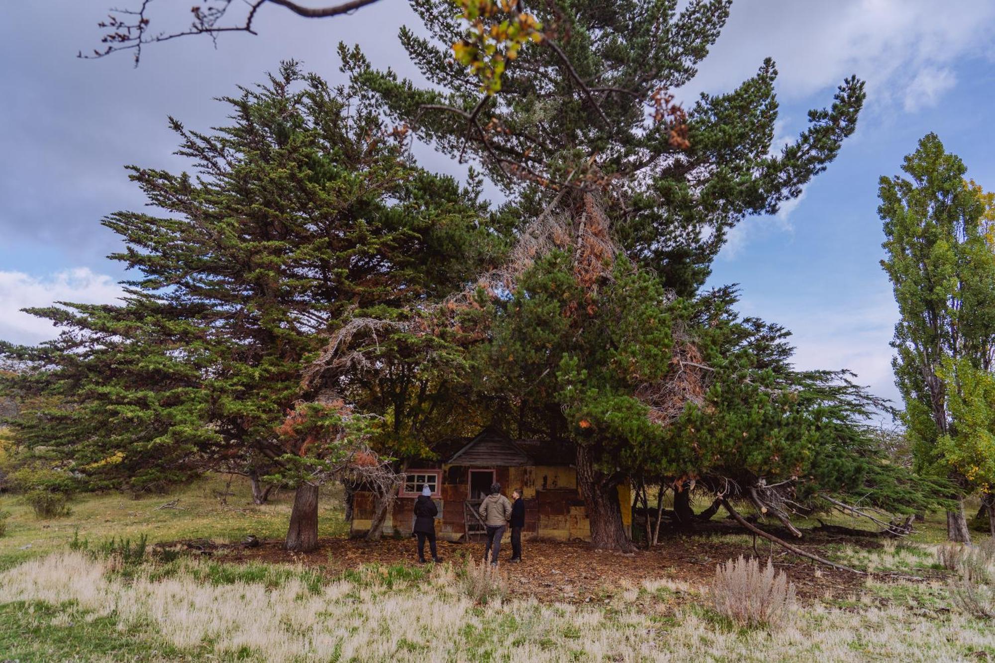 Estancia Patagonia El Calafate - Pristine Luxury Camps Exterior foto